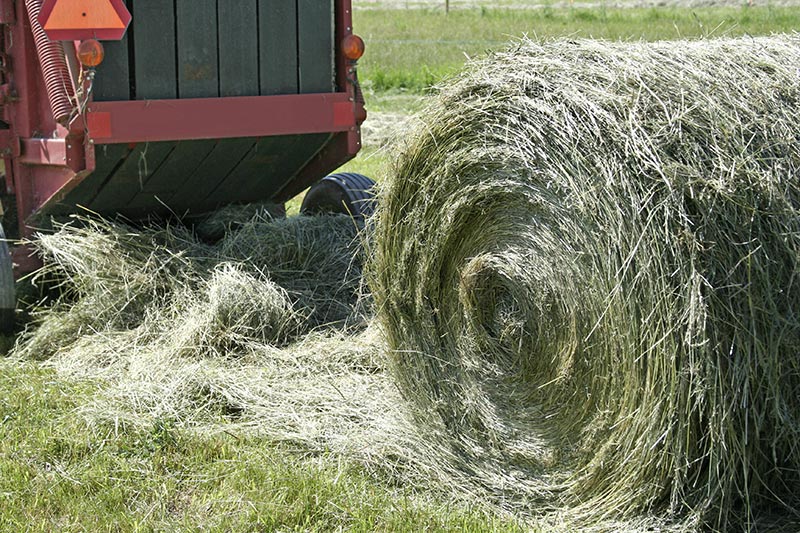 WCCO-Baler-Belts